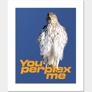 You perplex me Posters and Art